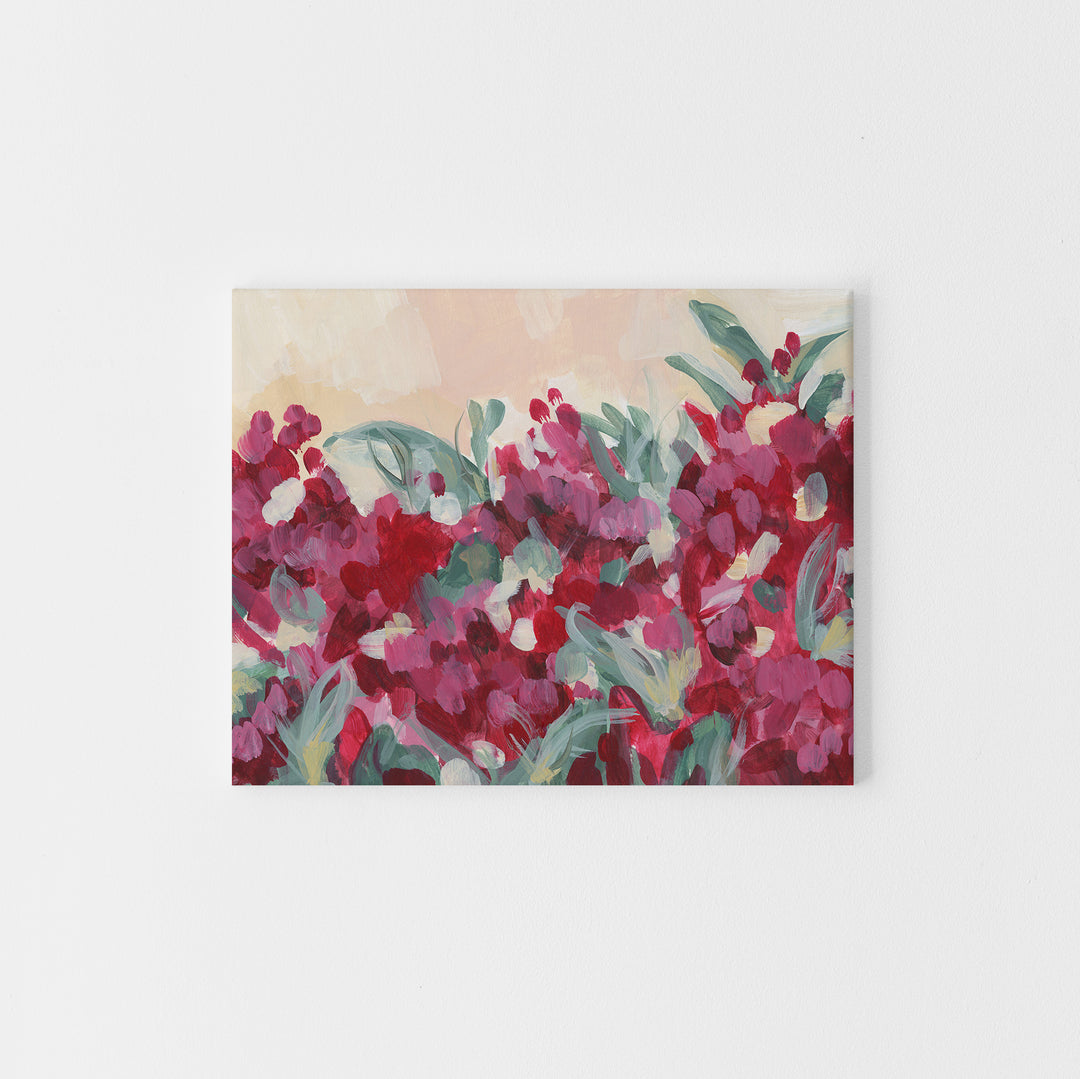 Bougainvillea Dream - Jetty Home