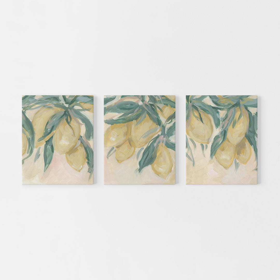 Lemon Grove Triptych - Set of 3 - Jetty Home