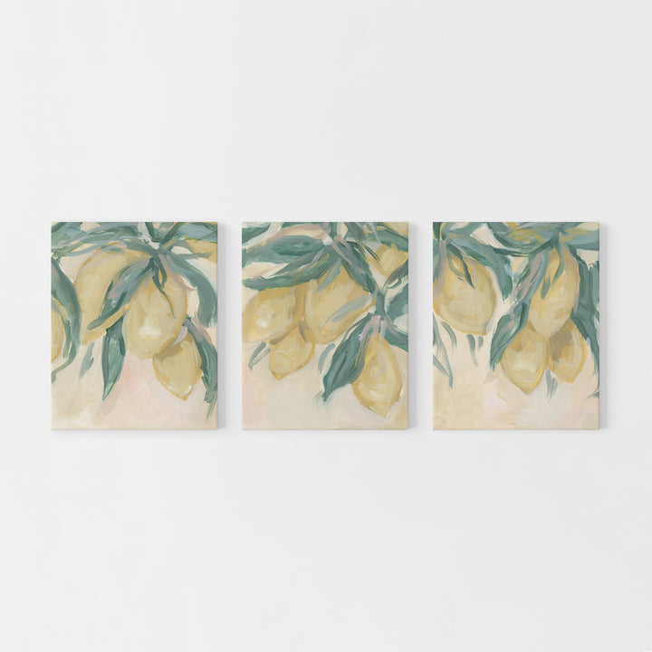 Lemon Grove Triptych - Set of 3 - Jetty Home
