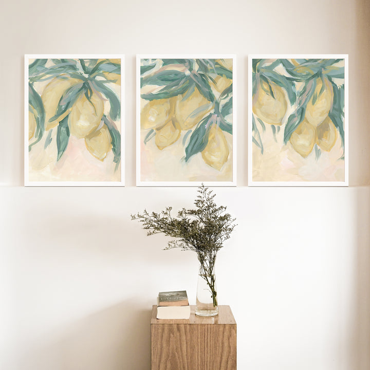 Lemon Grove Triptych - Set of 3 - Jetty Home