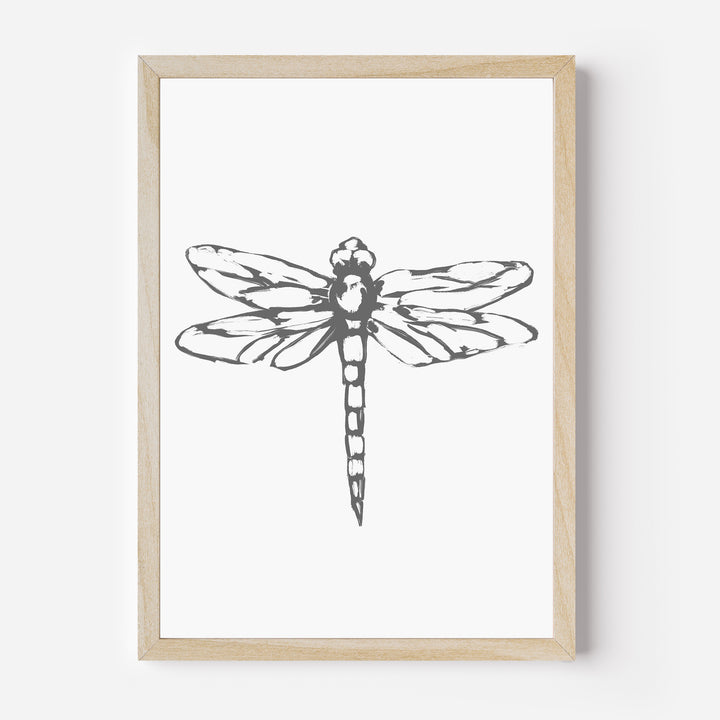 The Dragonfly - Jetty Home