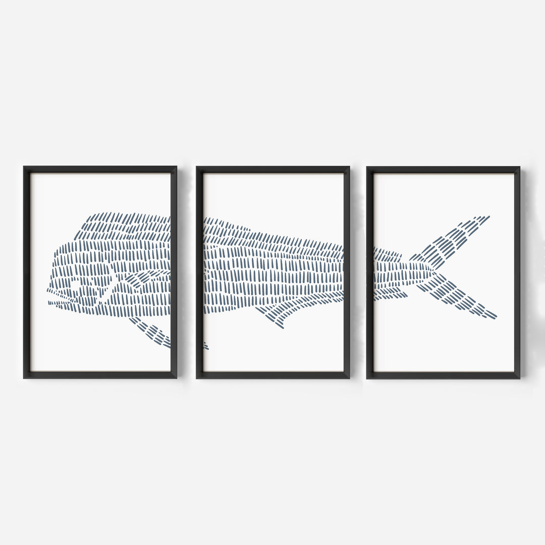 Mahi Mahi Illustration - Set of 3 - Jetty Home