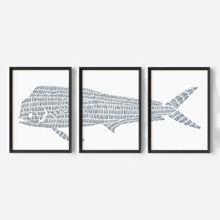 Mahi Mahi Illustration - Set of 3 - Jetty Home