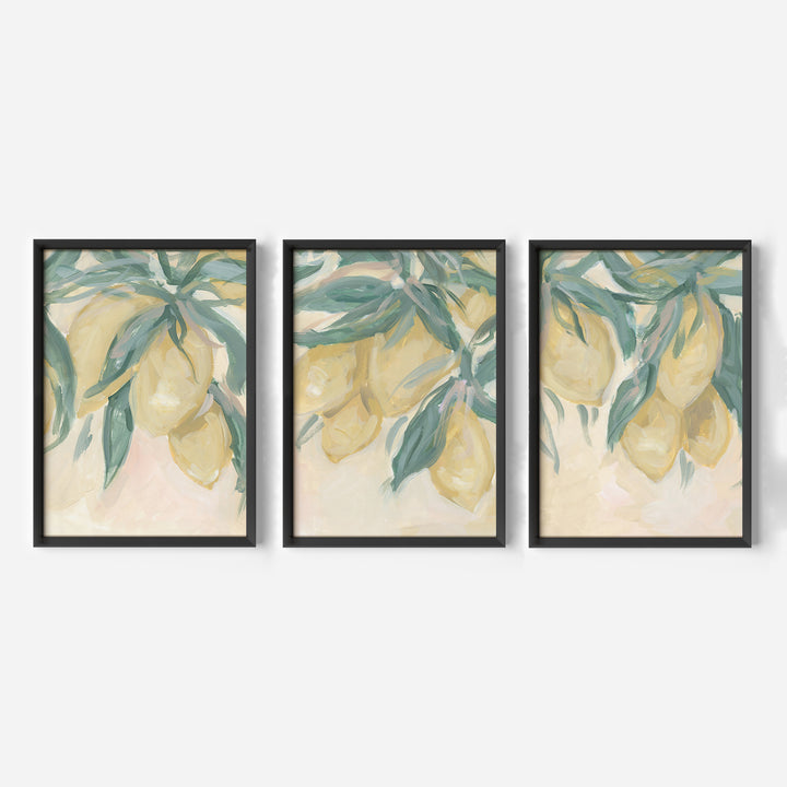 Lemon Grove Triptych - Set of 3 - Jetty Home
