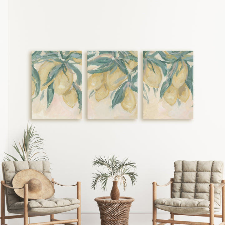 Lemon Grove Triptych - Set of 3 - Jetty Home