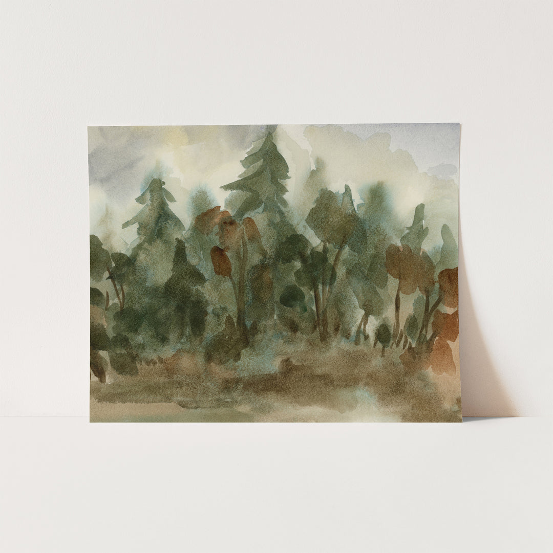 The Shadowed Forest - Jetty Home