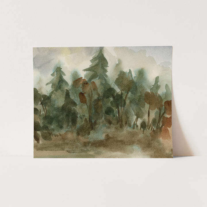 The Shadowed Forest - Jetty Home