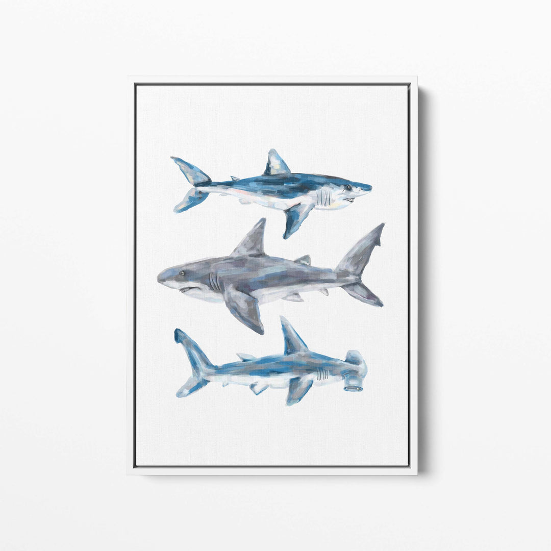 Great White, Mako + Hammerhead Shark - Jetty Home