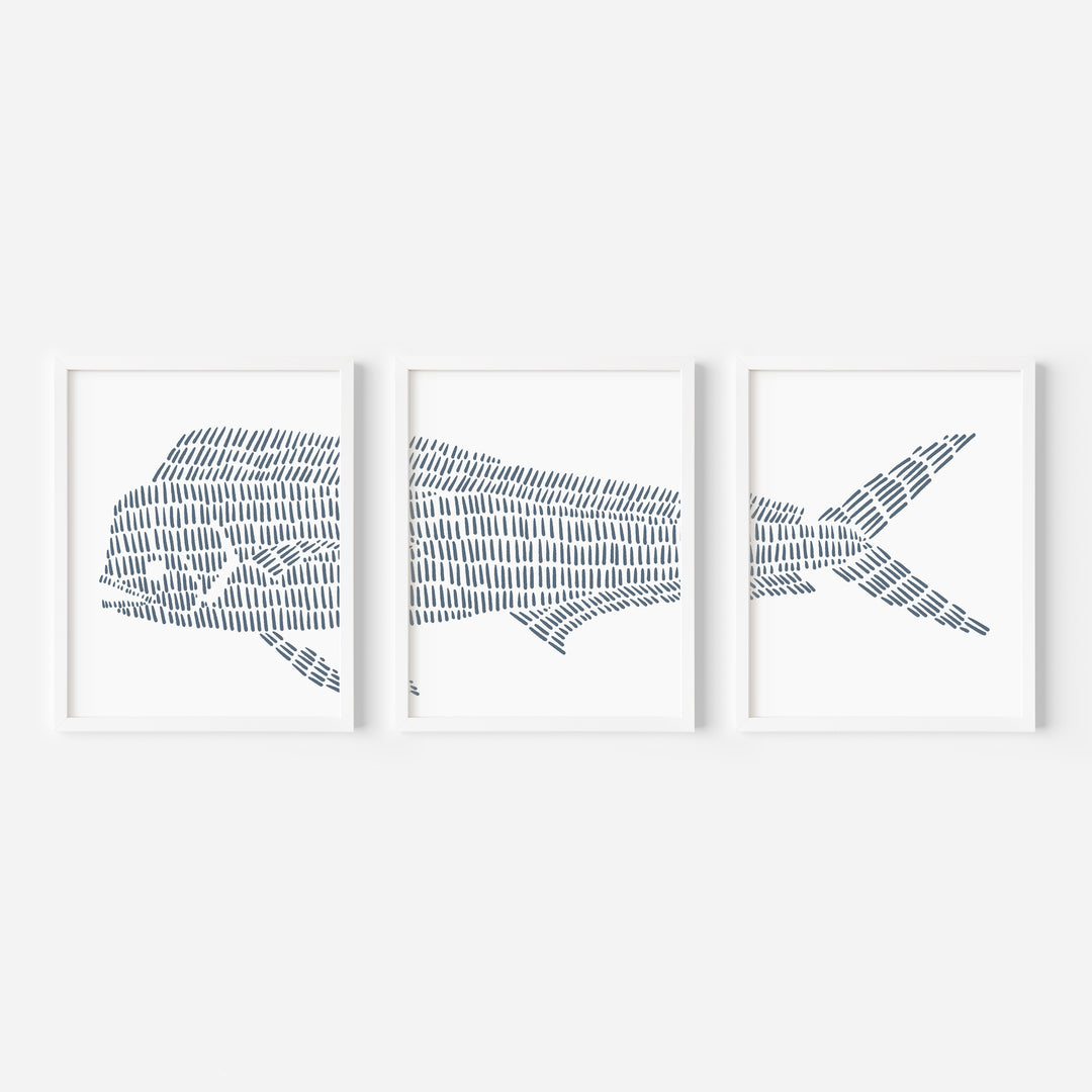 Mahi Mahi Illustration - Set of 3 - Jetty Home