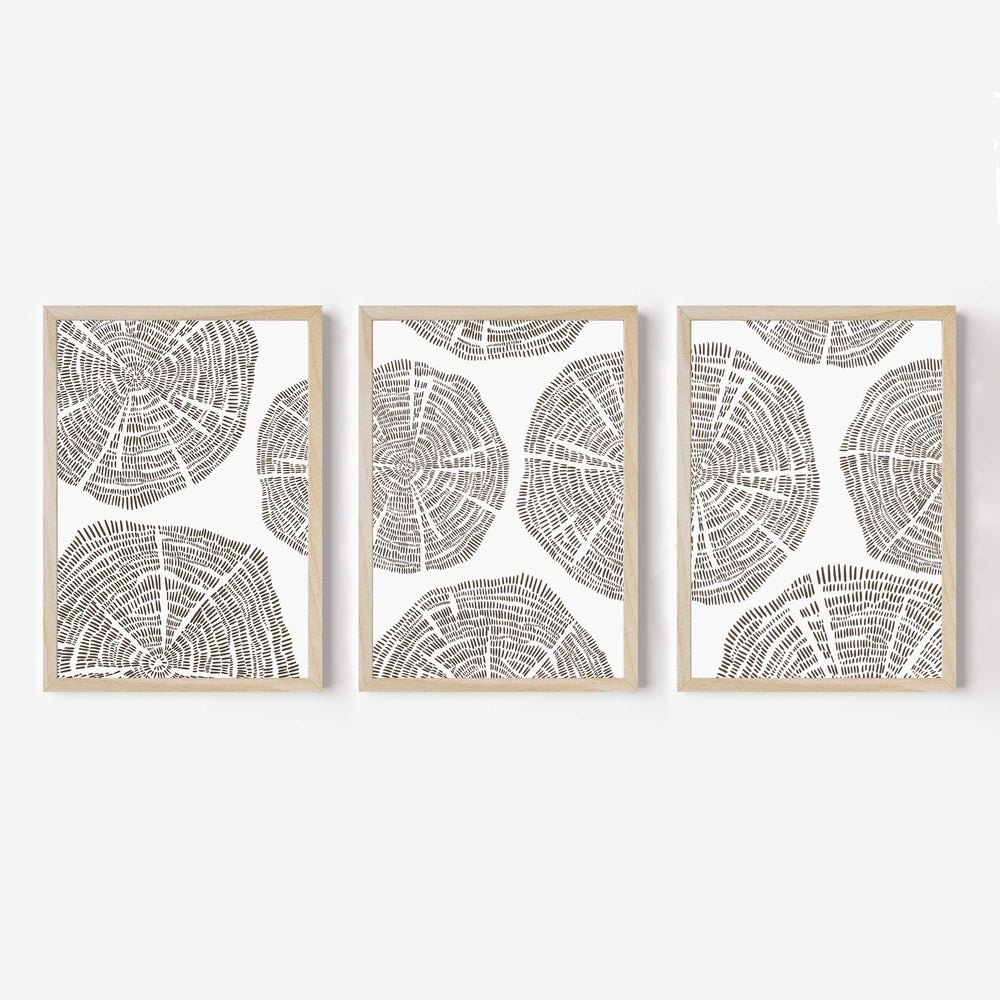 Tree Growth Rings - Set of 3 - Jetty Home