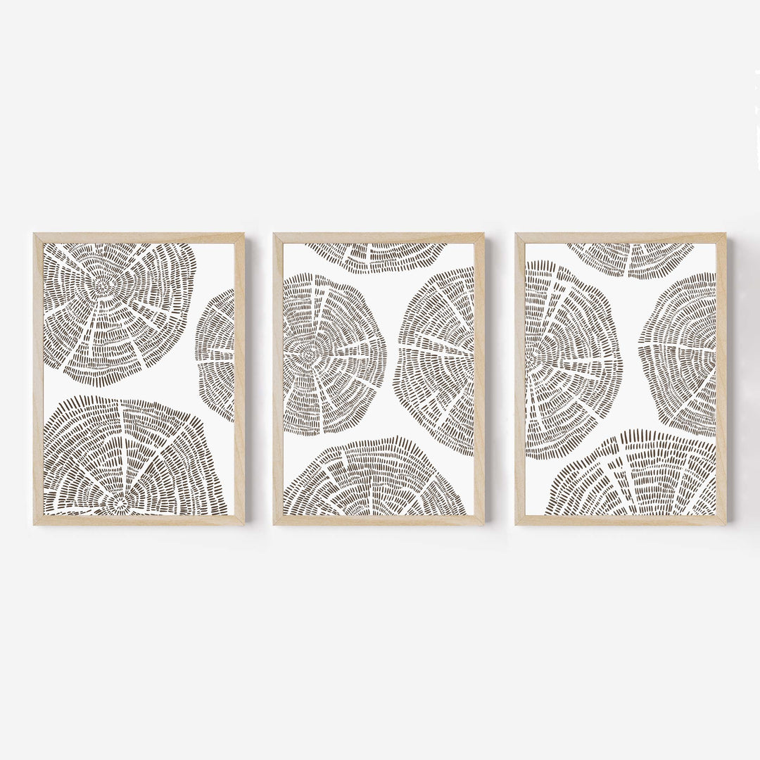 Tree Growth Rings - Set of 3 - Jetty Home