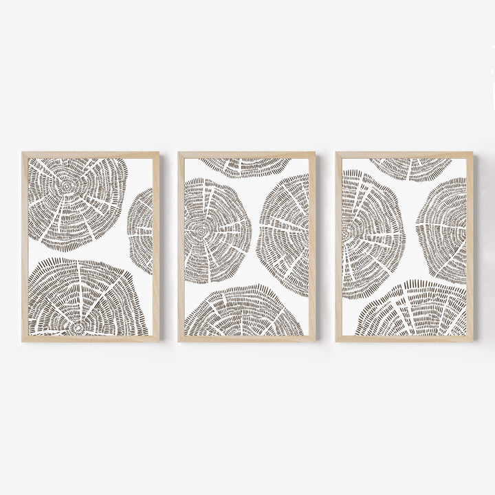 Tree Growth Rings - Set of 3 - Jetty Home