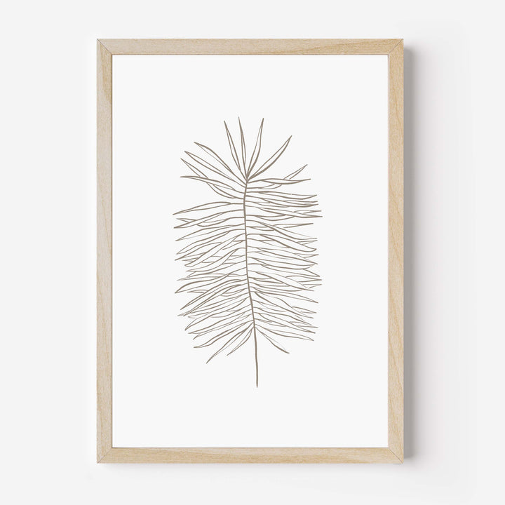 Palm Frond Line Drawing - Jetty Home