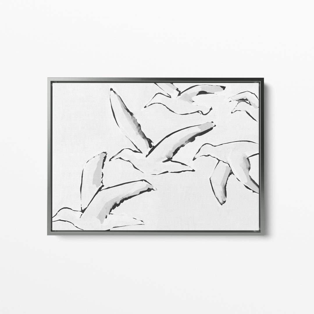 Black & White Gulls in Flight - Jetty Home