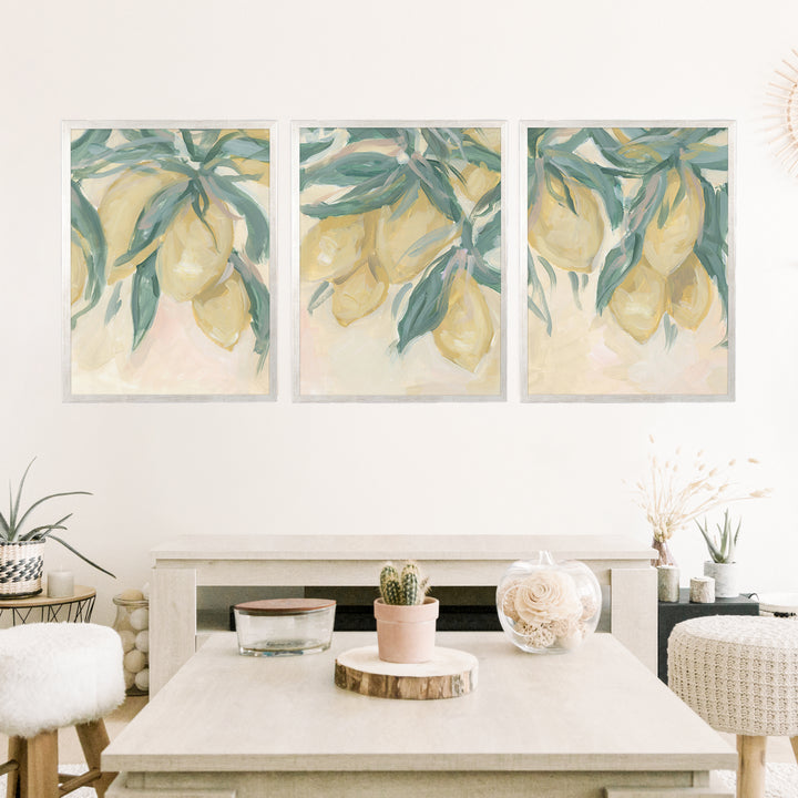 Lemon Grove Triptych - Set of 3 - Jetty Home