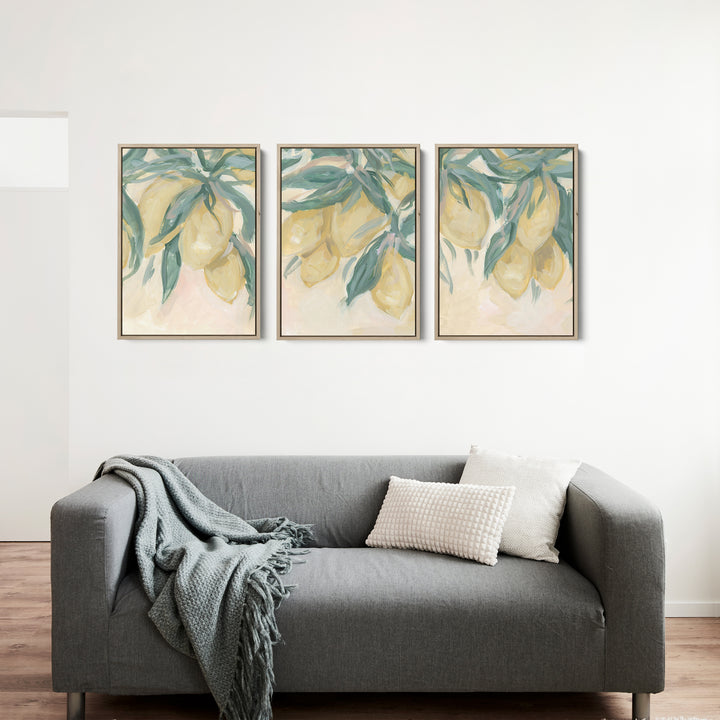 Lemon Grove Triptych - Set of 3 - Jetty Home