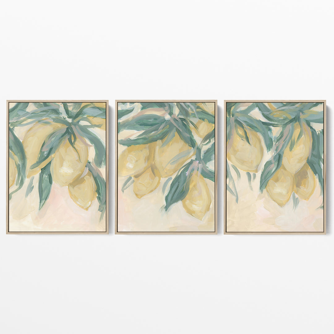 Lemon Grove Triptych - Set of 3 - Jetty Home
