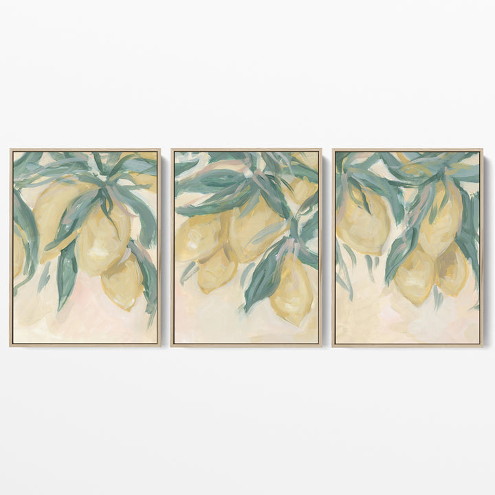 Lemon Grove Triptych - Set of 3 - Jetty Home