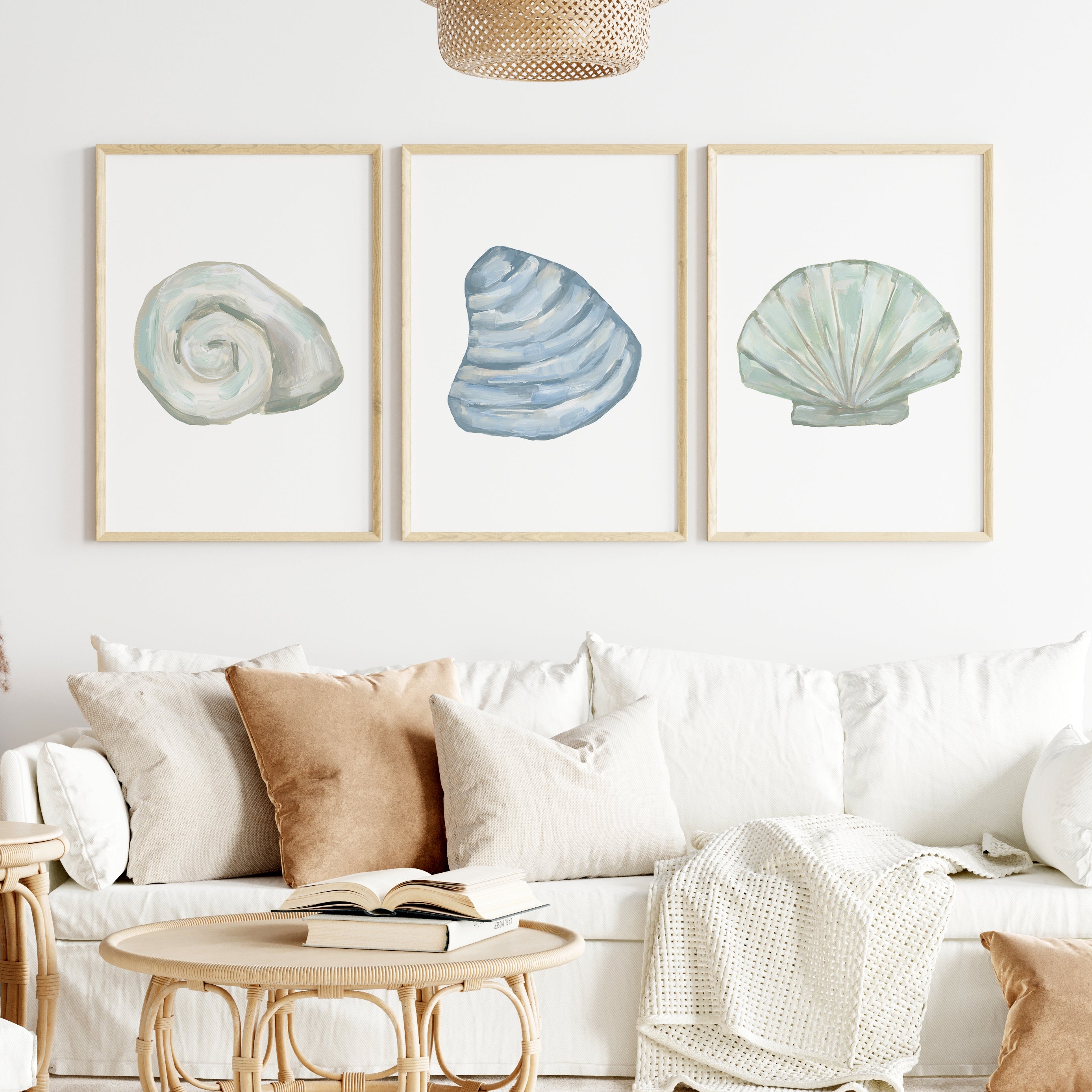 Seashell Trio 2 - Set of 3 | Beach Shell Coastal Decor | Jetty Home