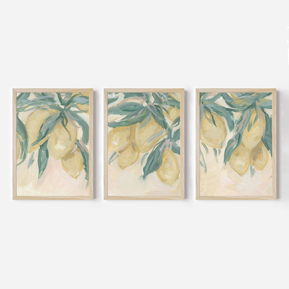 Lemon Grove Triptych - Set of 3 - Jetty Home
