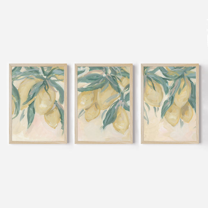 Lemon Grove Triptych - Set of 3 - Jetty Home