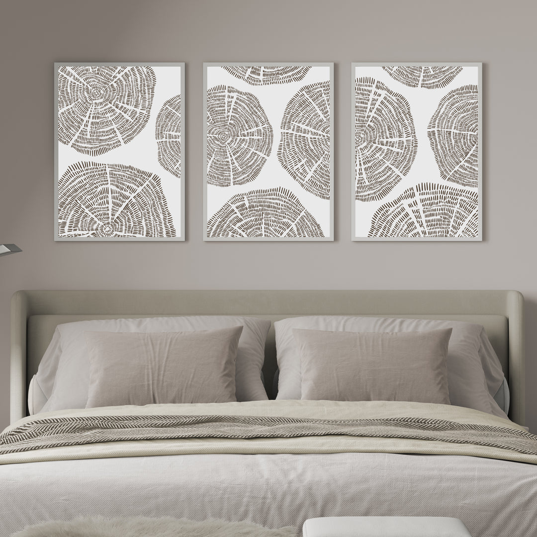 Tree Growth Rings - Set of 3  - Art Prints or Canvases - Jetty Home