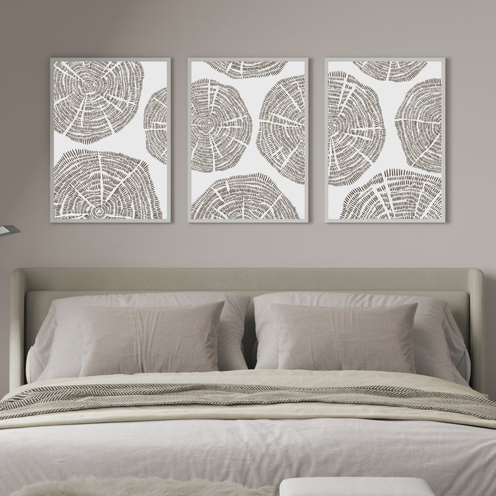 Tree Growth Rings - Set of 3  - Art Prints or Canvases - Jetty Home