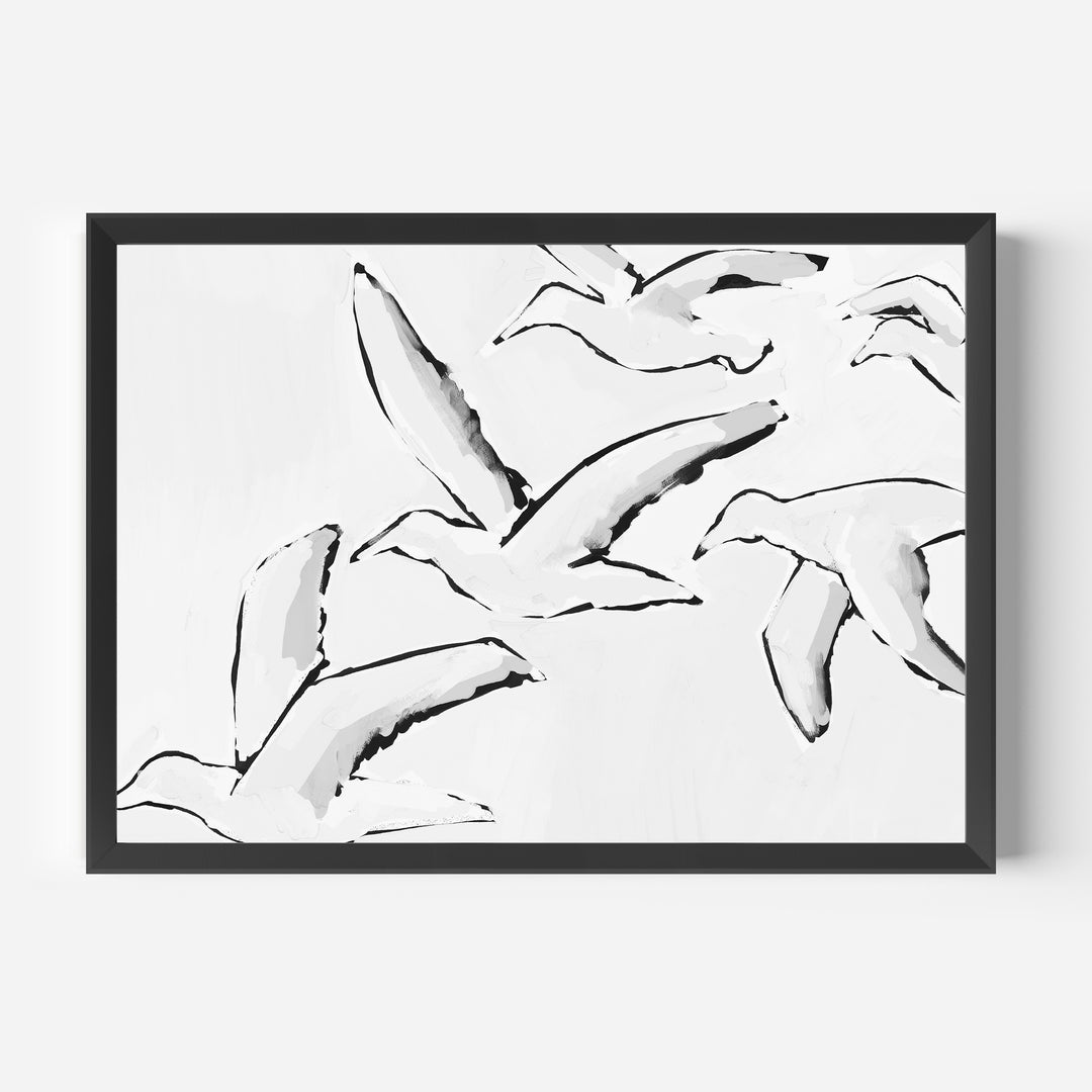 Black & White Gulls in Flight - Jetty Home