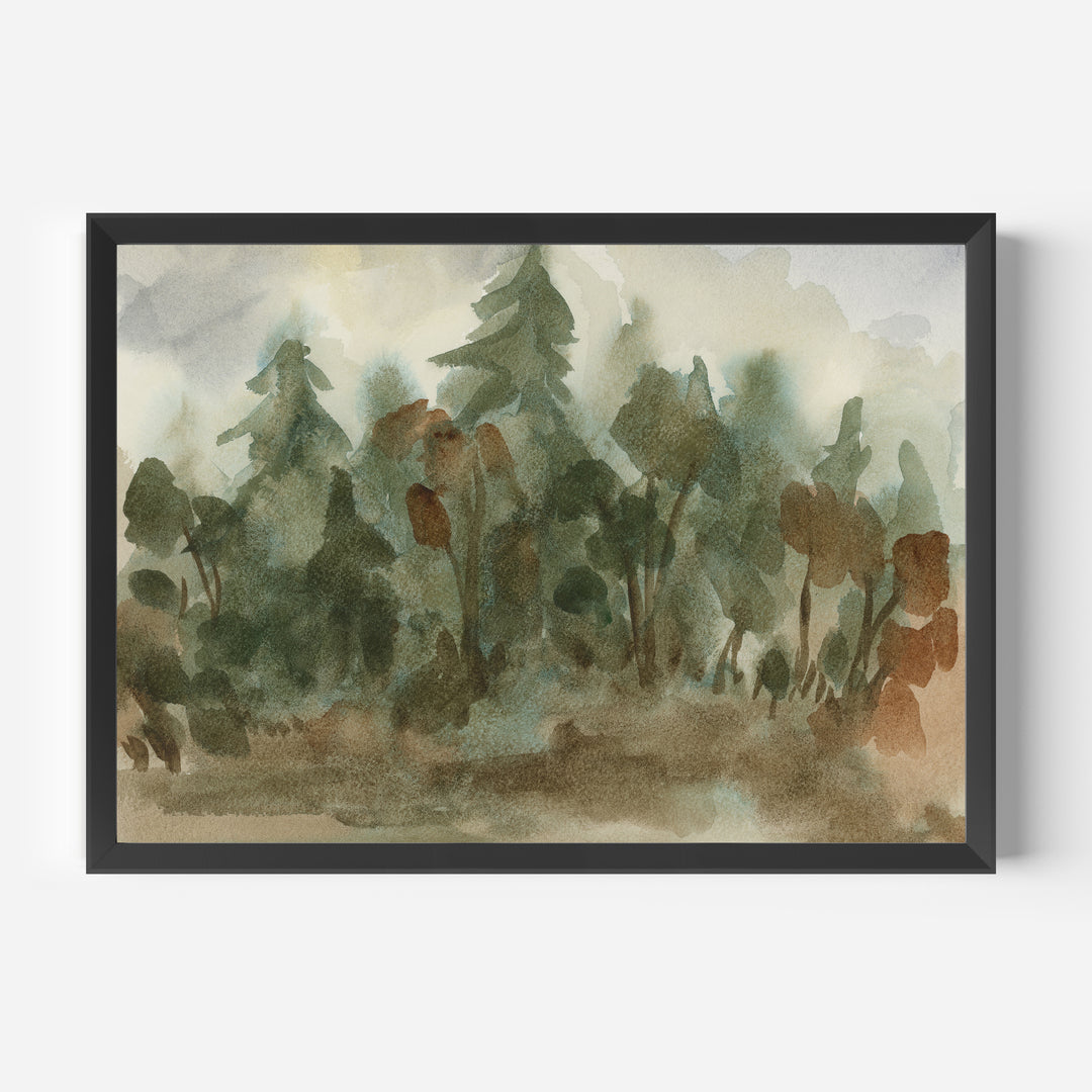 The Shadowed Forest - Jetty Home