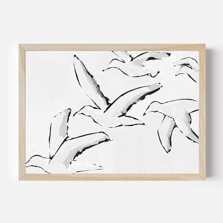 Black & White Gulls in Flight - Jetty Home