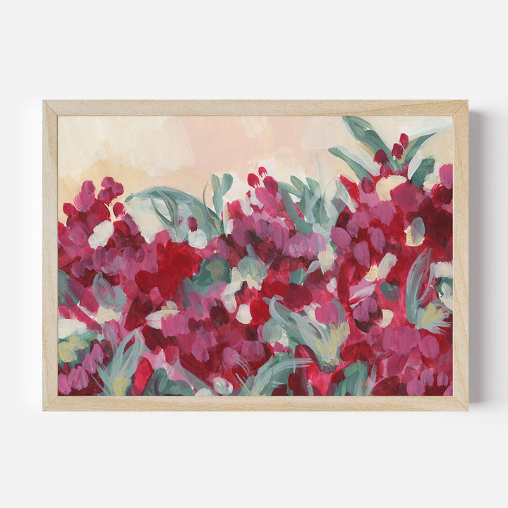 Bougainvillea Dream - Jetty Home