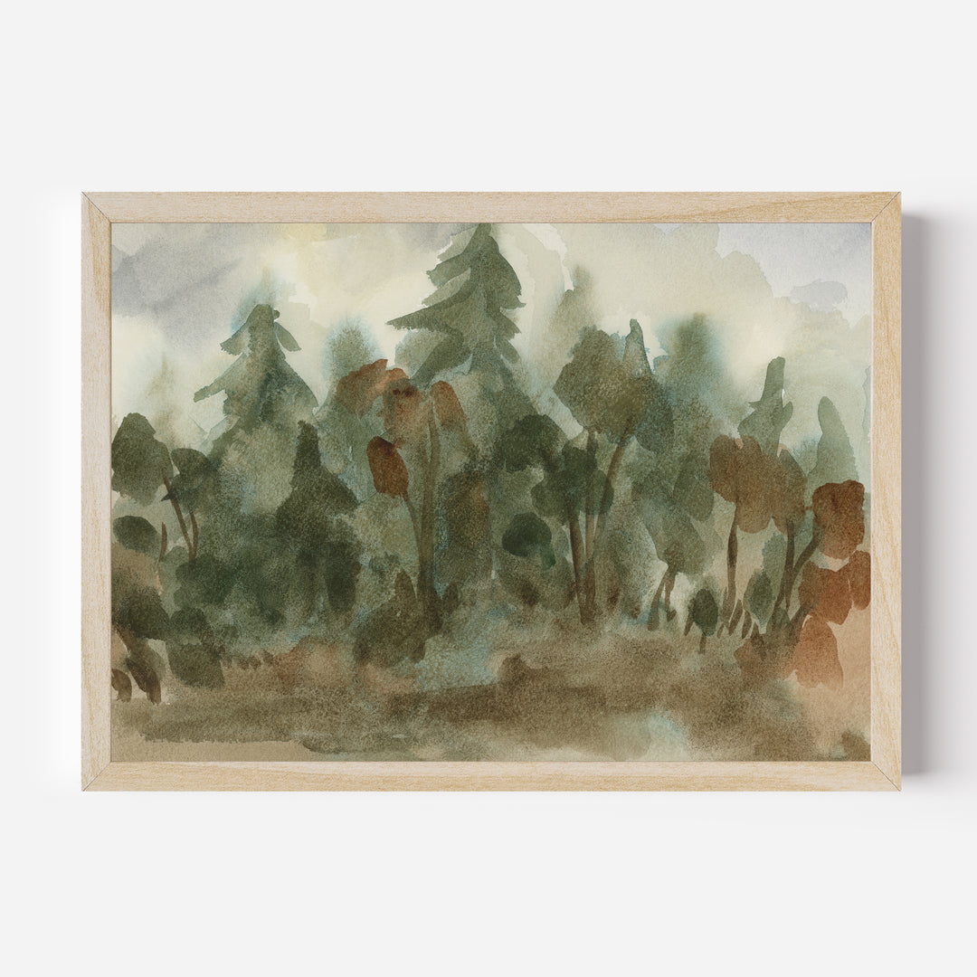 The Shadowed Forest - Jetty Home