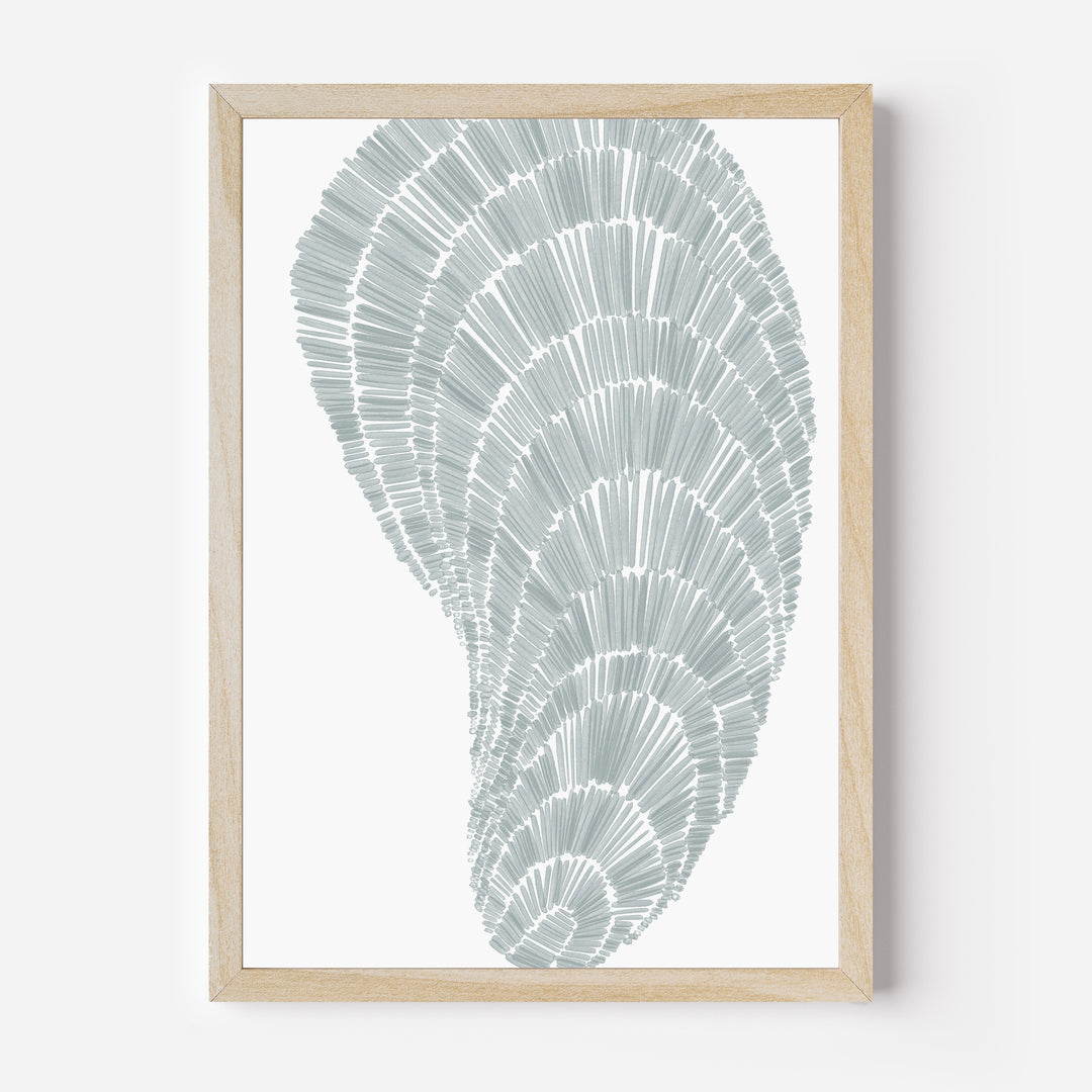 Salty Mussel Shell - Art Print or Canvas - Jetty Home