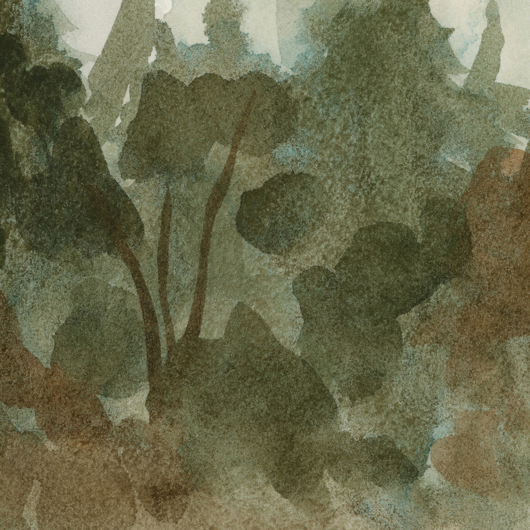 Timberline - Jetty Home