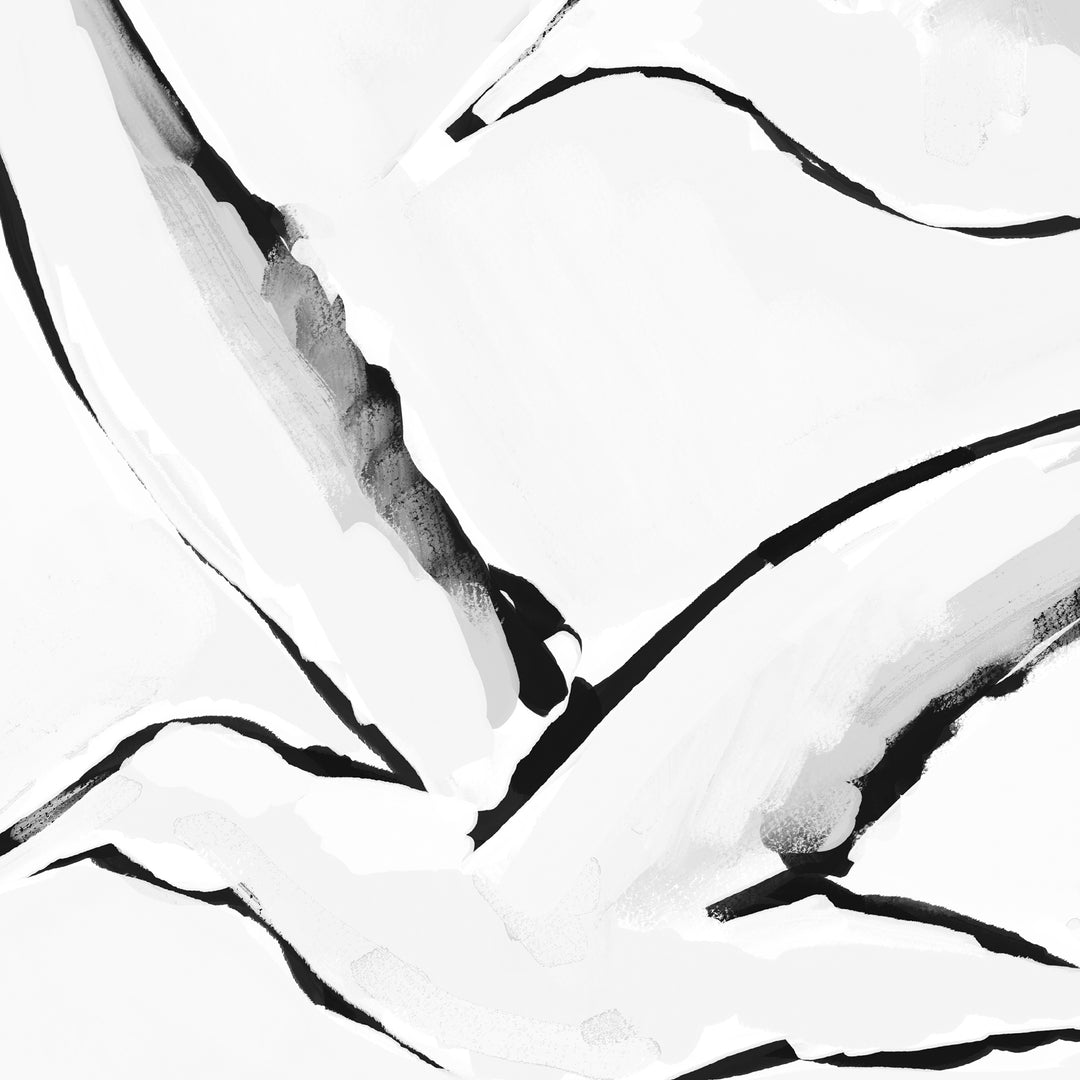 Black & White Gulls in Flight - Art Print or Canvas - Jetty Home