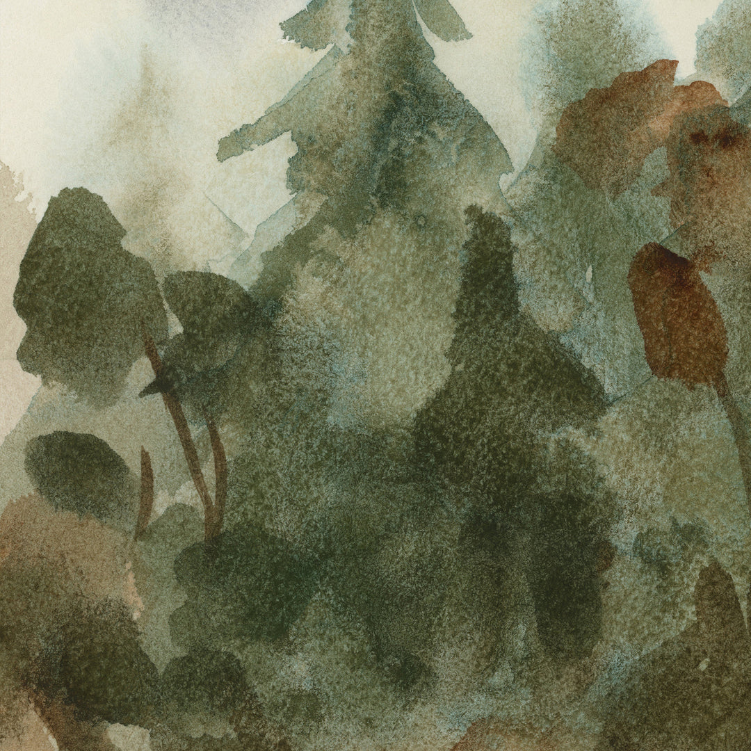 The Shadowed Forest - Jetty Home