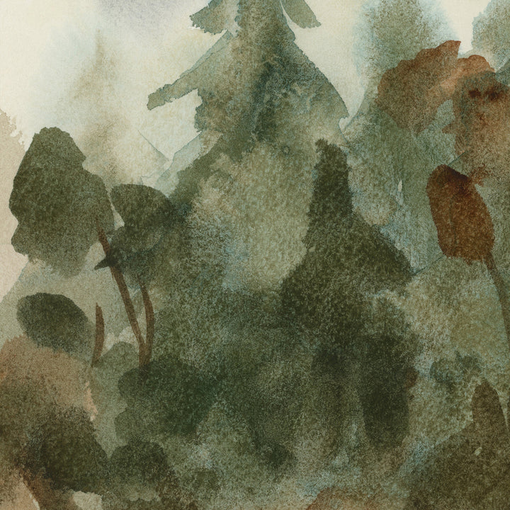 The Shadowed Forest - Jetty Home