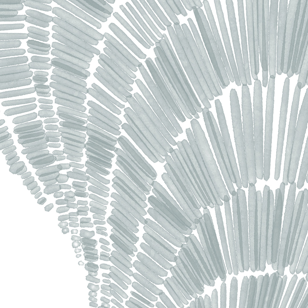 Salty Mussel Shell - Art Print or Canvas - Jetty Home