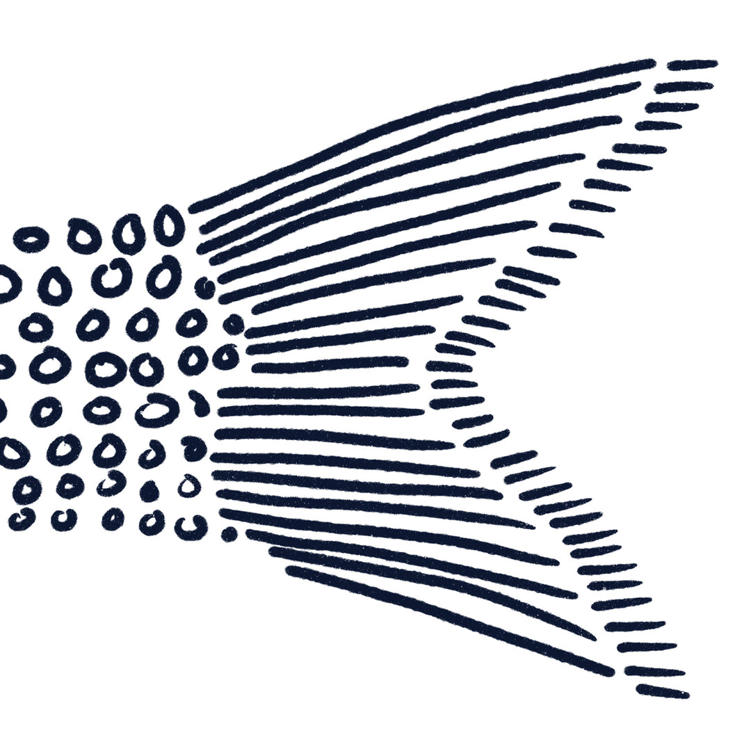 Catfish in Circles - Art Print or Canvas - Jetty Home