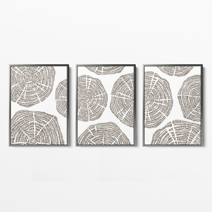 Tree Growth Rings - Set of 3  - Art Prints or Canvases - Jetty Home