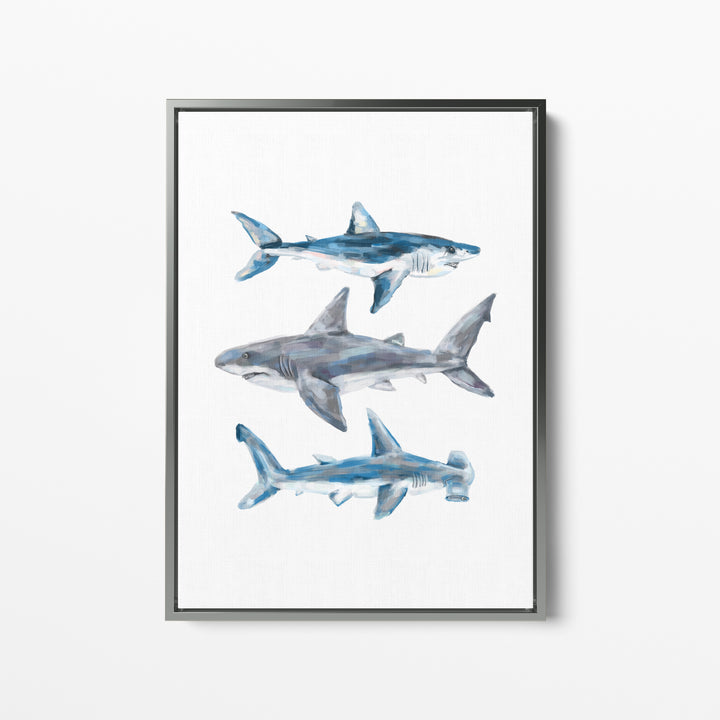 Great White, Mako + Hammerhead Shark  - Art Print or Canvas - Jetty Home
