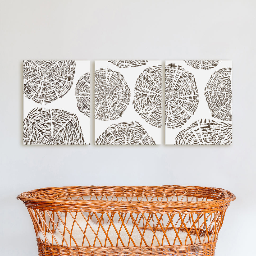 Tree Growth Rings - Set of 3  - Art Prints or Canvases - Jetty Home