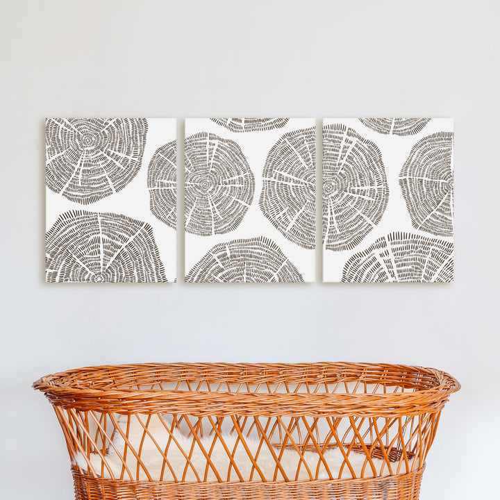 Tree Growth Rings - Set of 3  - Art Prints or Canvases - Jetty Home