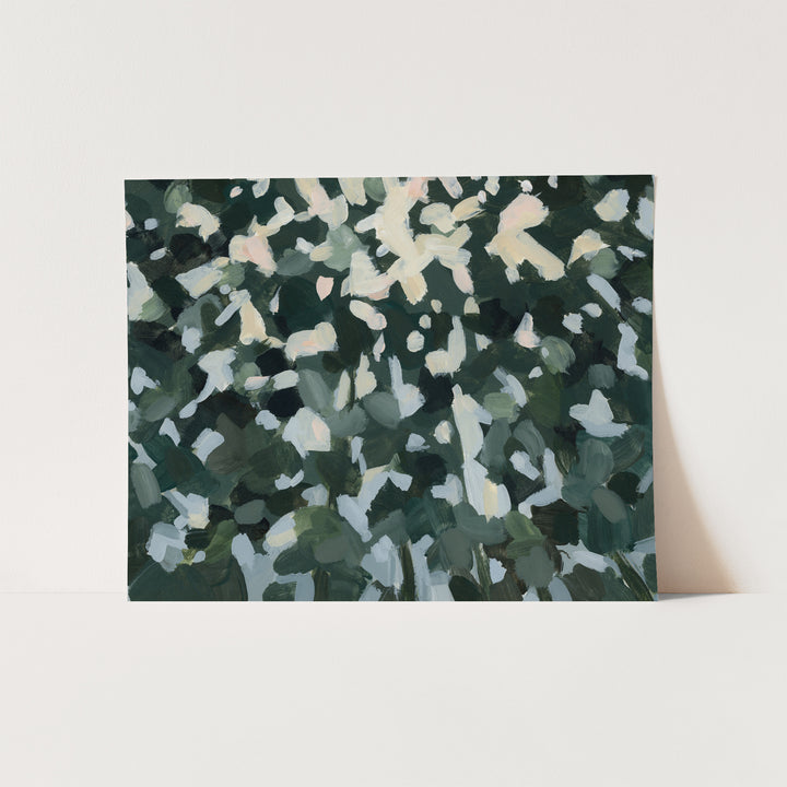 Wild Canopy - Jetty Home