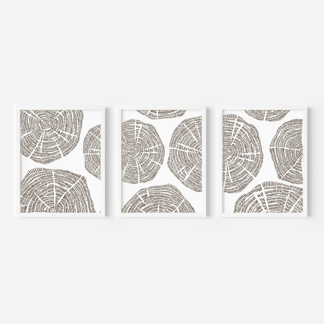 Tree Growth Rings - Set of 3  - Art Prints or Canvases - Jetty Home