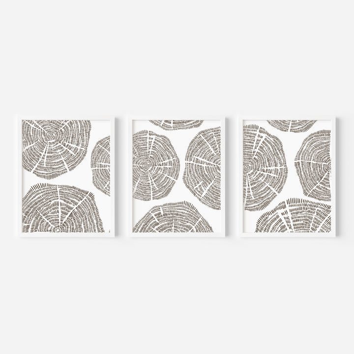 Tree Growth Rings - Set of 3  - Art Prints or Canvases - Jetty Home