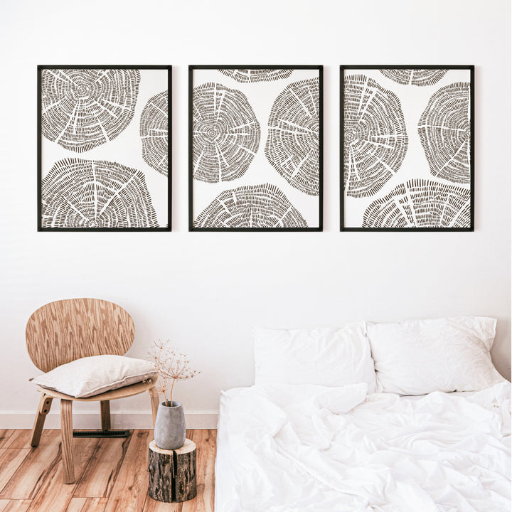Tree Growth Rings - Set of 3  - Art Prints or Canvases - Jetty Home