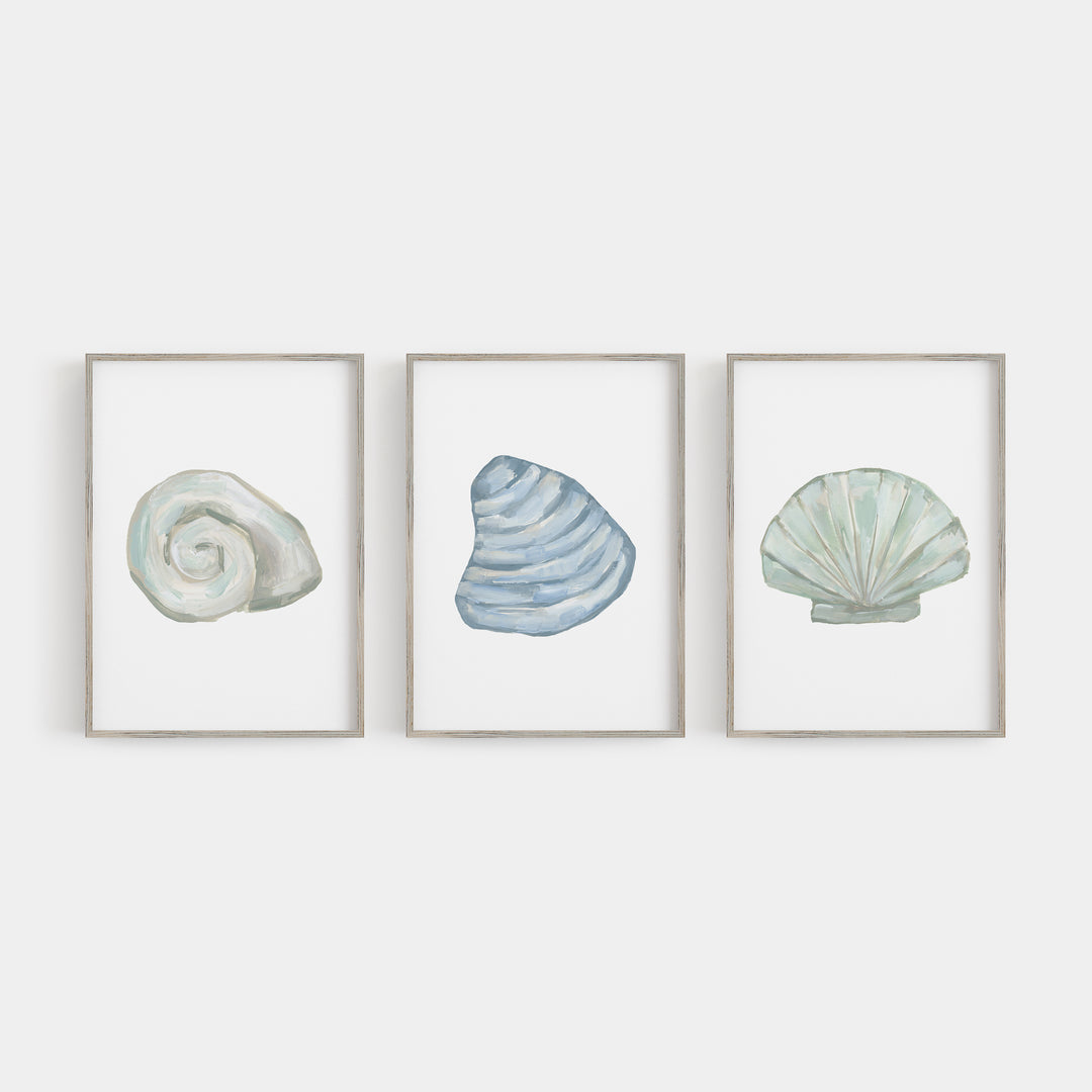 "Seashell Trio 2" Beach House Decor - Set of 3 - Art Prints or Canvas - Jetty Home