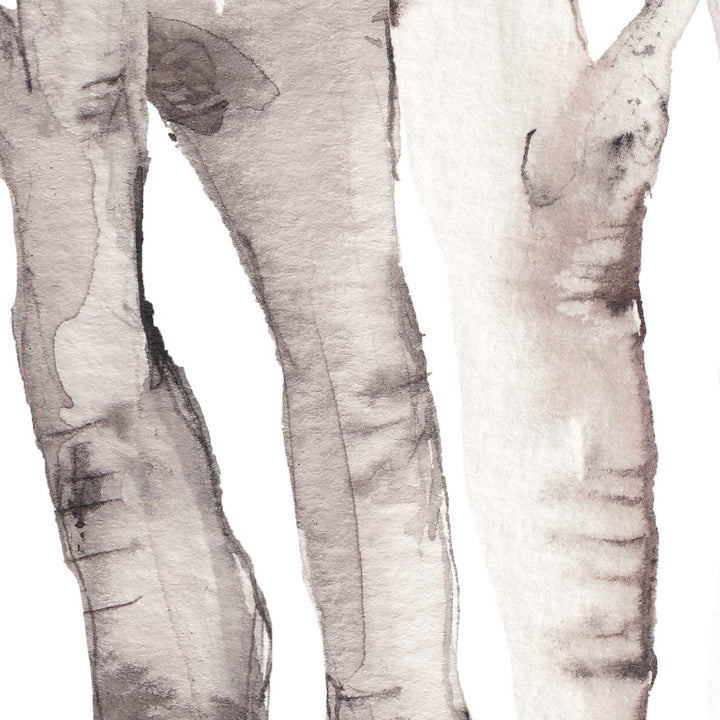 Watercolor Aspen Birch Tree Lodge Wall Art Print or Canvas - Jetty Home