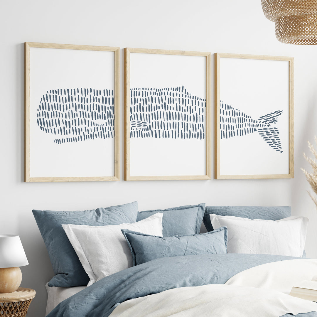 Sea Animal Illustrations